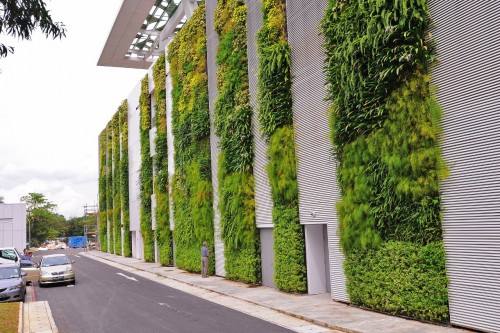 室外植物墙厂家  室外植物墙供应商 广东室外植物墙图片