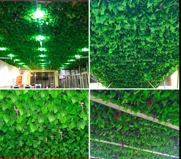 仿真植物圖片/仿真植物樣板圖 (3)