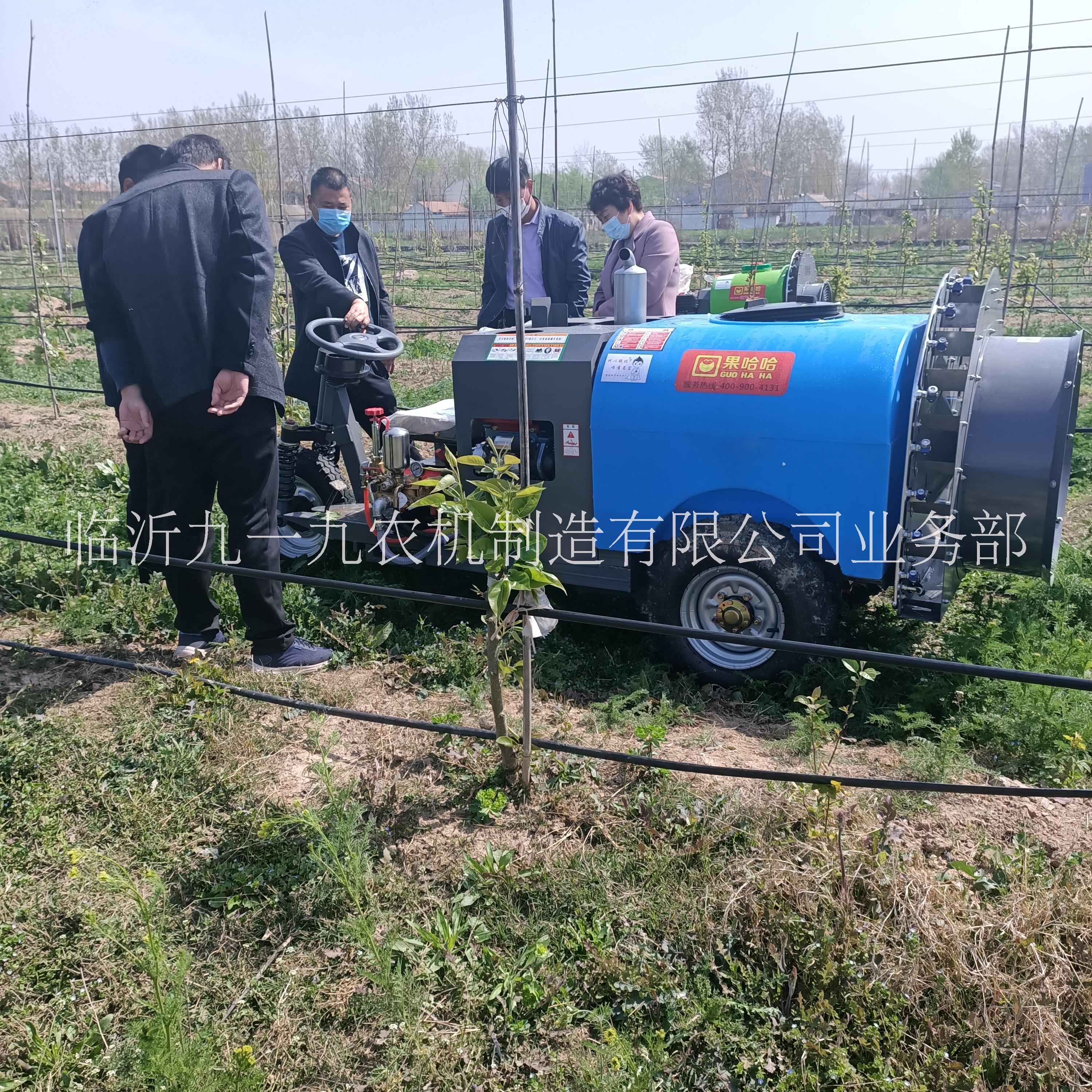 果哈哈圖片/果哈哈樣板圖 (2)