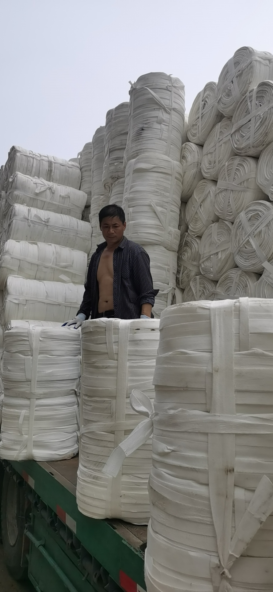 布帶圖片/布帶樣板圖 (2)