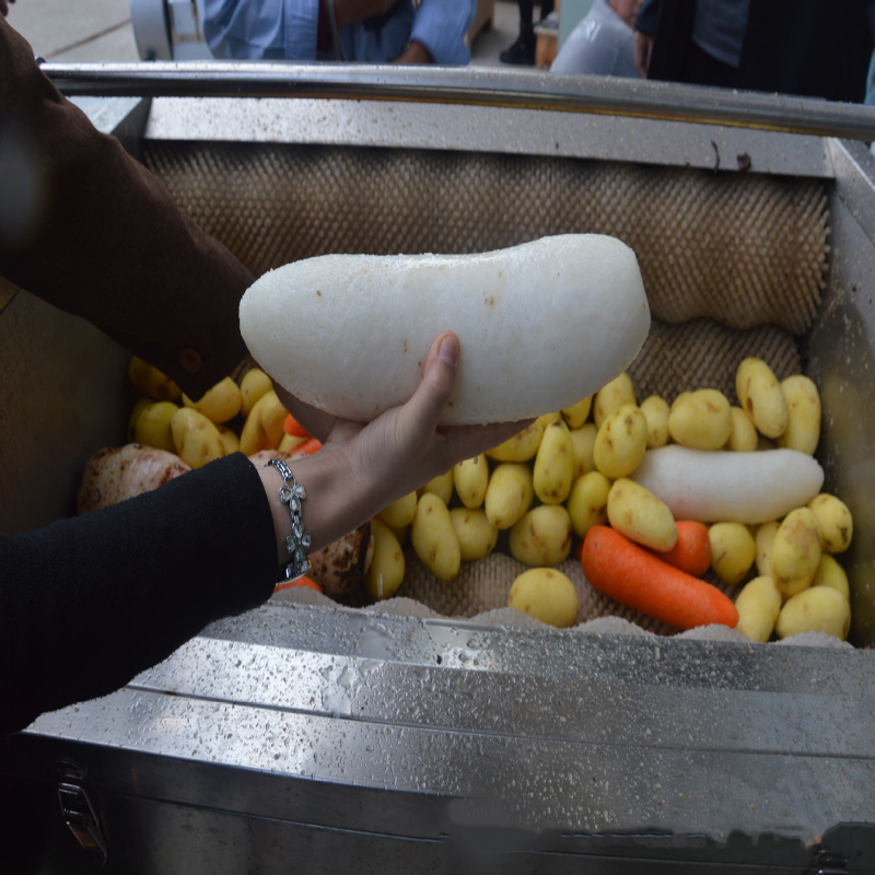 蘿卜清洗機圖片/蘿卜清洗機樣板圖 (3)