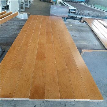 羽毛球館木地板圖片/羽毛球館木地板樣板圖 (3)