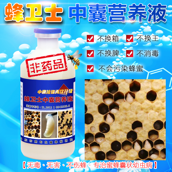 甘肅省圖片/甘肅省樣板圖 (3)