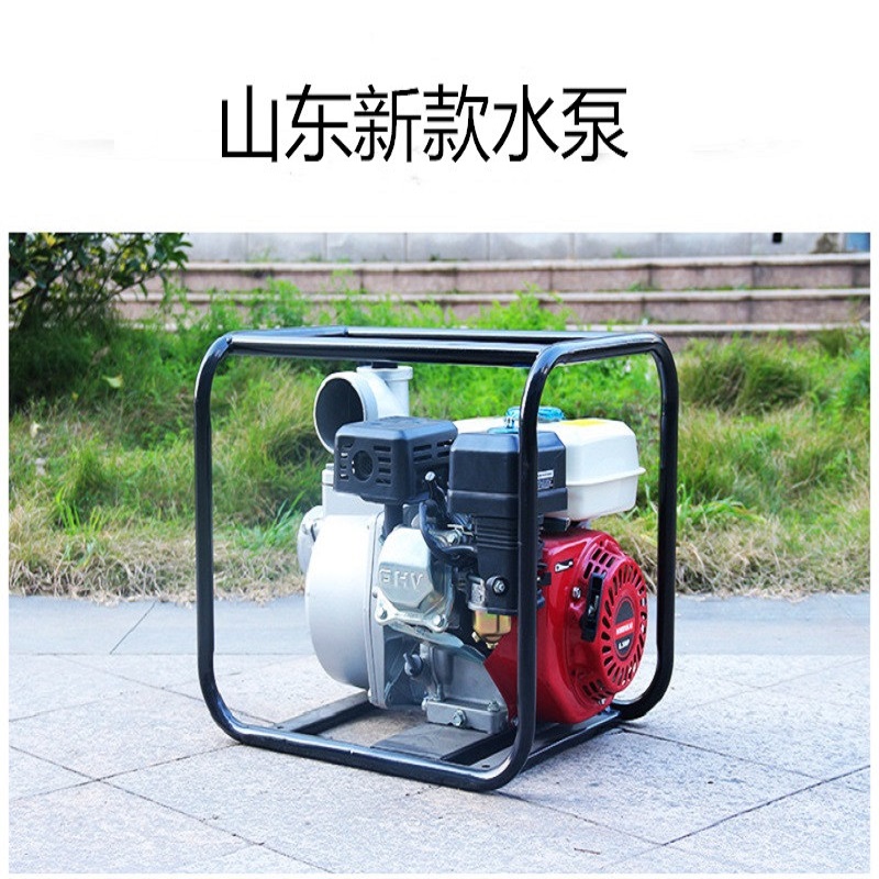 水泵圖片/水泵樣板圖 (4)