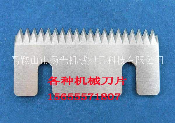 齒形刀片圖片/齒形刀片樣板圖 (4)