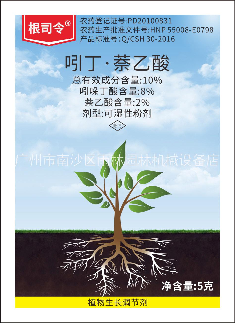 根司令圖片/根司令樣板圖 (4)