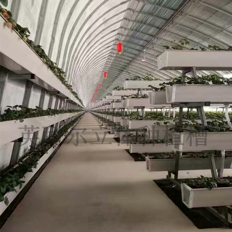 草莓立體種植槽圖片/草莓立體種植槽樣板圖 (2)