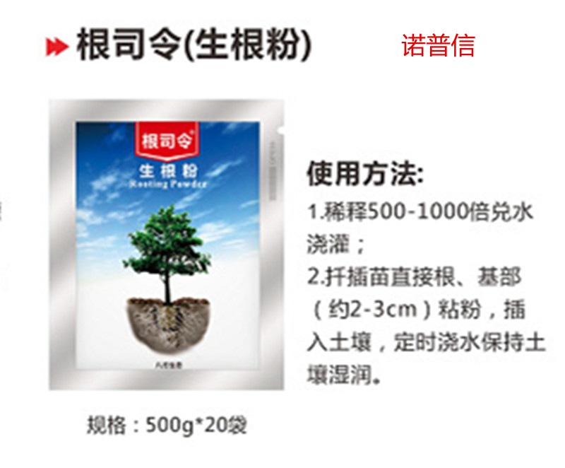 根司令圖片/根司令樣板圖 (3)