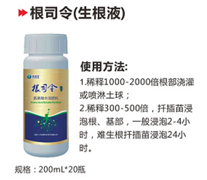 根司令圖片/根司令樣板圖 (2)