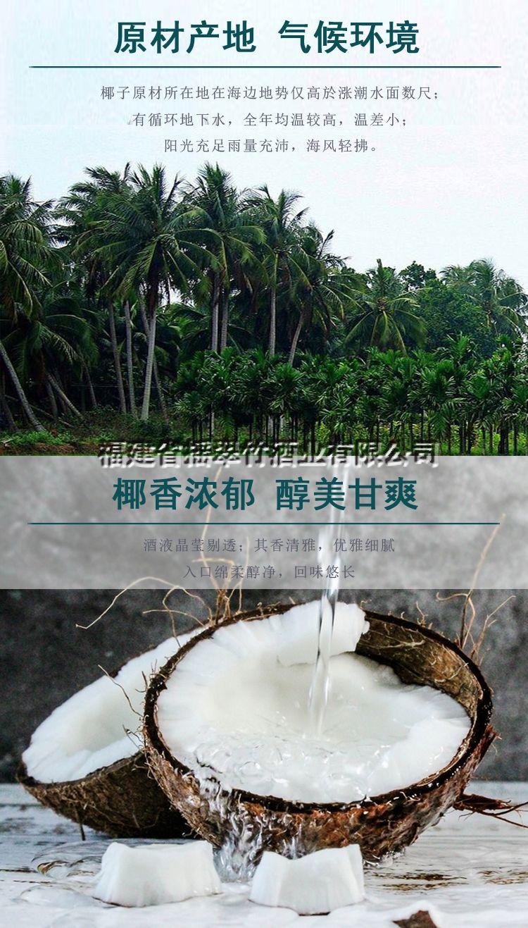 椰子酒行情 椰子露酒新價(jià)格圖片