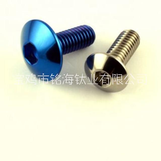 鈦陽極螺絲圖片/鈦陽極螺絲樣板圖 (4)