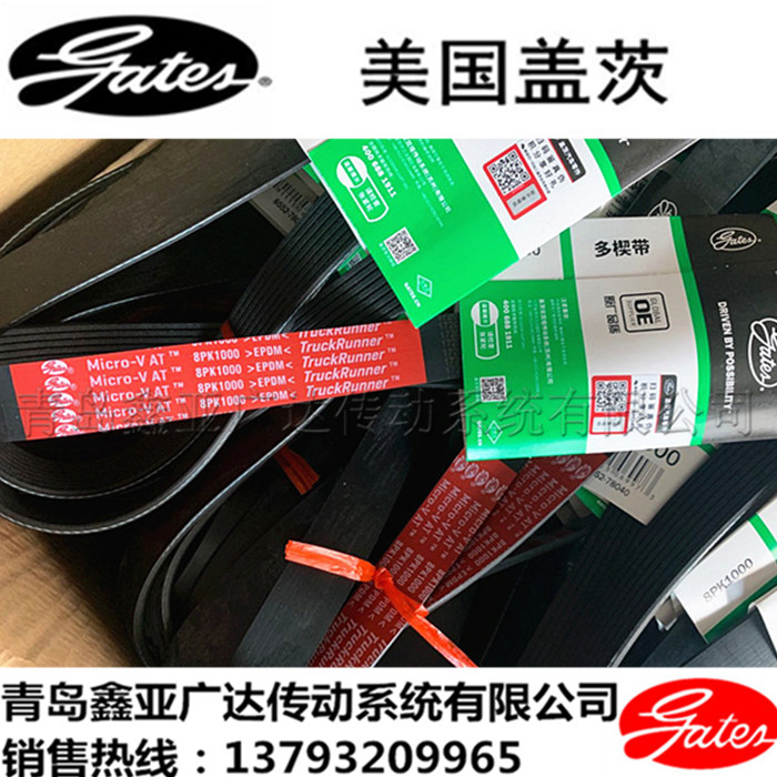 蓋茨圖片/蓋茨樣板圖 (2)