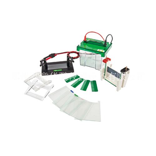 JY-SCZ2+型 垂直電泳槽圖片