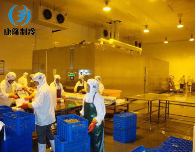 肉類速凍輸送線廠家 肉類速凍輸送線哪家好 肉類速凍輸送線廠家 肉類速凍輸送線供應(yīng)商