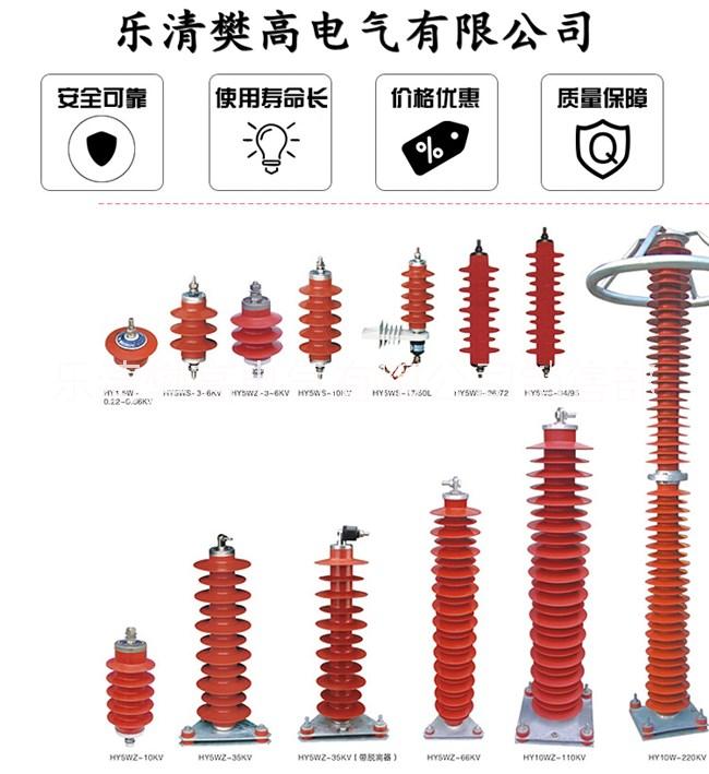 10KV可卸式（跌落式）避雷器HY5WS-17/50DL-TB图片