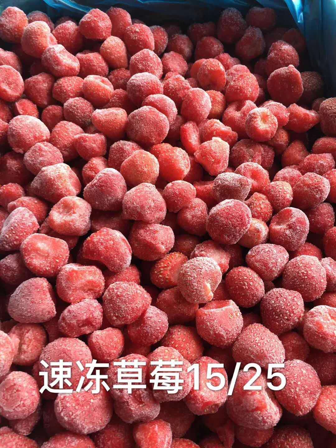 山東凍品冷庫廠家圖片/山東凍品冷庫廠家樣板圖 (4)