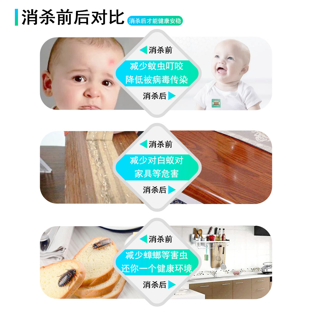 除蟑螂圖片/除蟑螂樣板圖 (4)