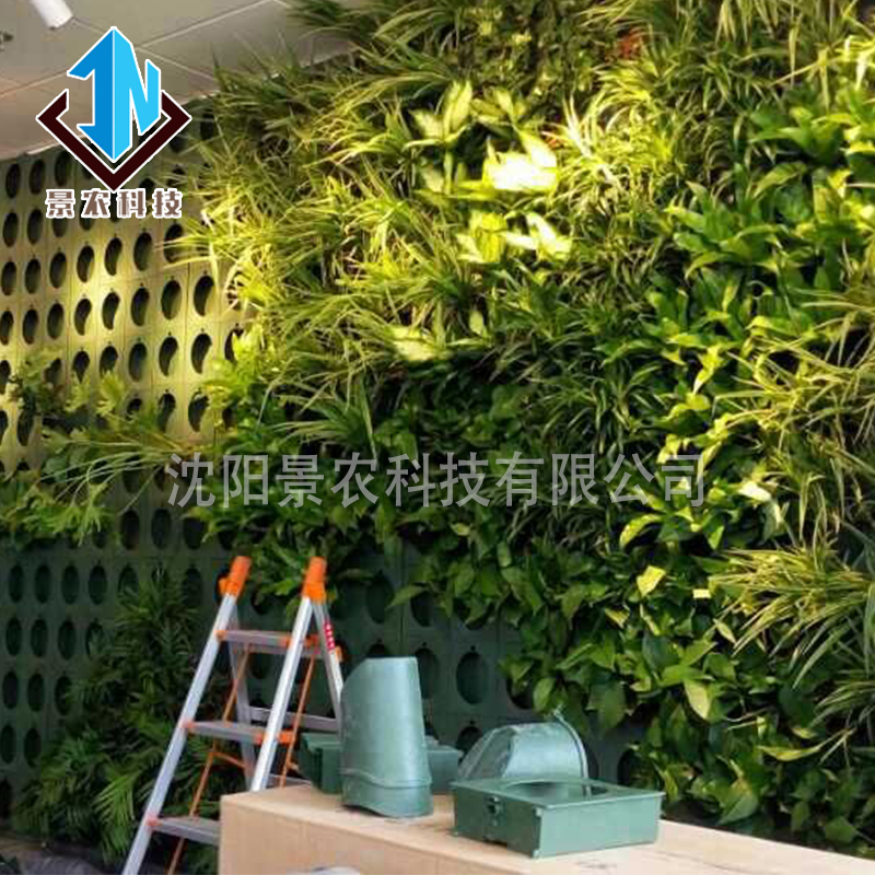 沈阳植物墙 绿植墙 墙体垂直绿化图片