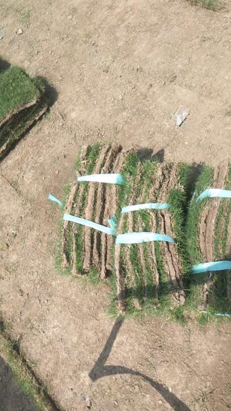 四季青圖片/四季青樣板圖 (3)