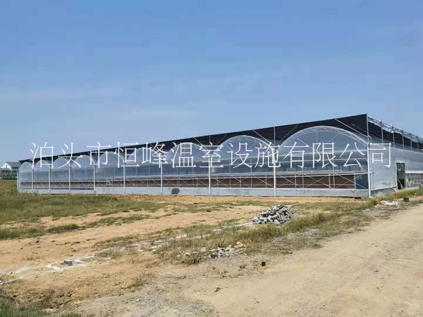 溫室大棚 薄膜連棟溫室大棚 溫室大棚 薄膜連棟溫室大棚