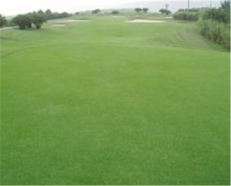 發(fā)價圖片/發(fā)價樣板圖 (3)