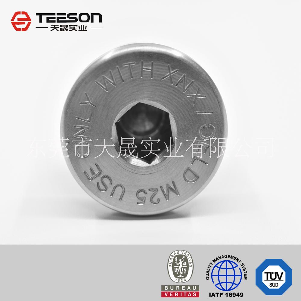定制不銹鋼汽車堵頭，不銹鋼汽車配件，不銹鋼五金配件