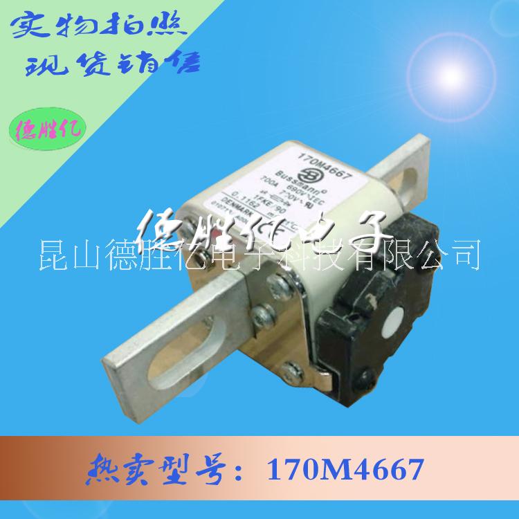 巴斯曼熔斷器圖片/巴斯曼熔斷器樣板圖 (2)