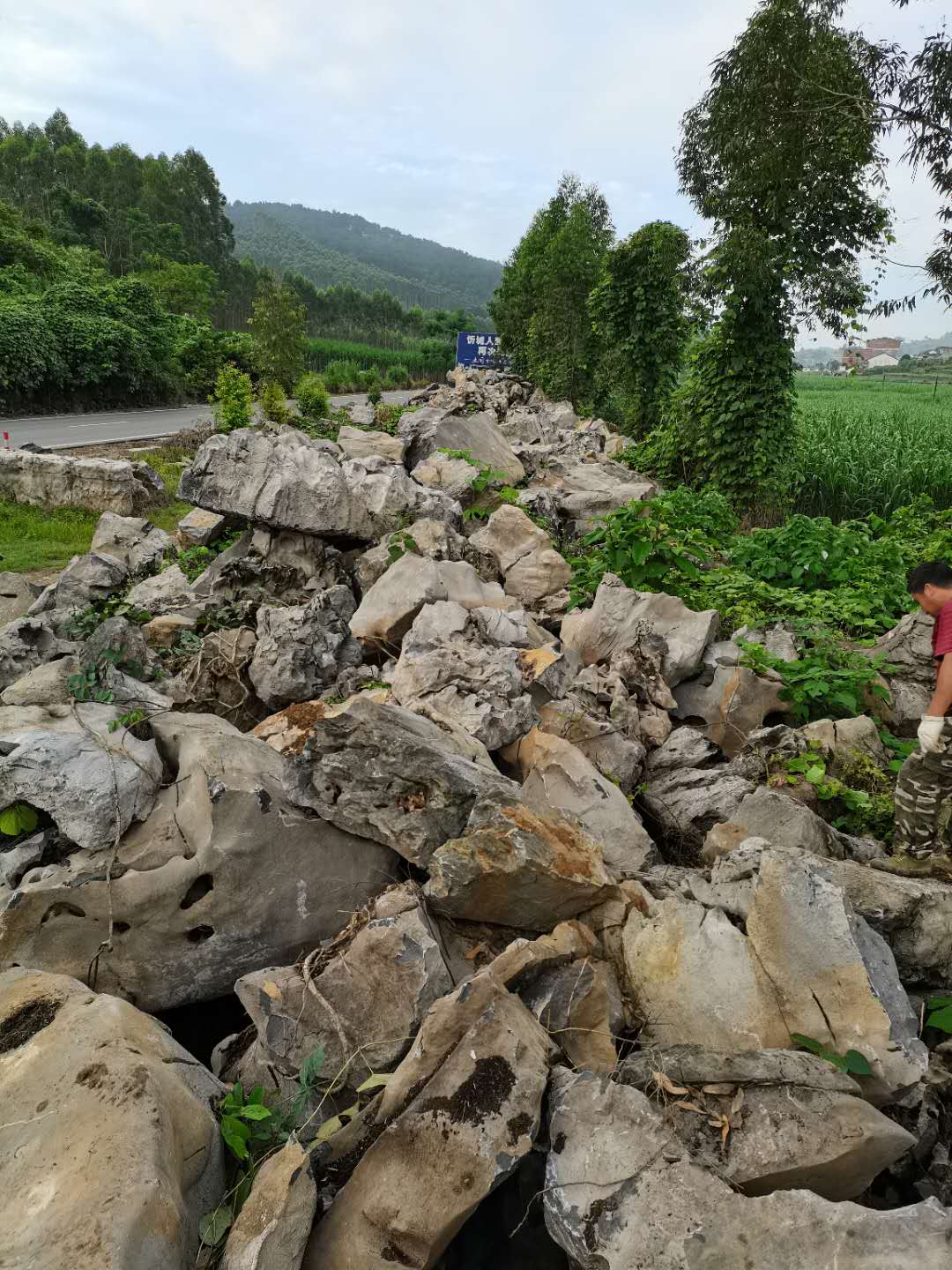 桂林太湖石产地直销价格产地直供哪家好【广西太湖石销售】图片