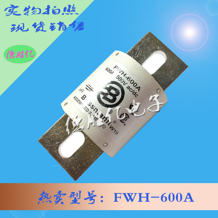 巴斯曼熔斷器 FWH-600A圖片