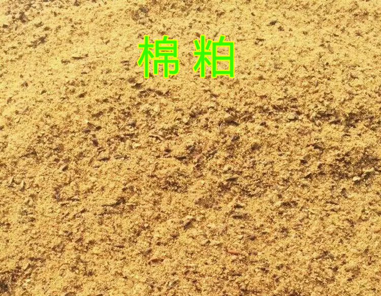 开封市小麦玉米秸杆,麦草,麦秸杆,麦糠厂家