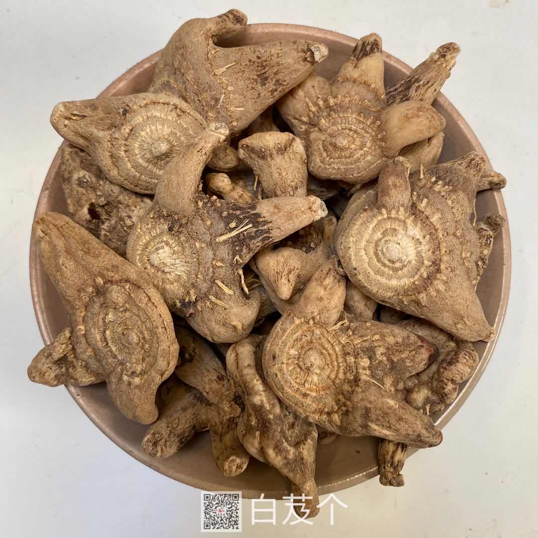 白芨圖片/白芨樣板圖 (2)