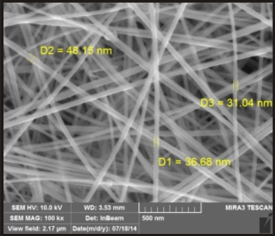 納米銀線圖片/納米銀線樣板圖 (2)