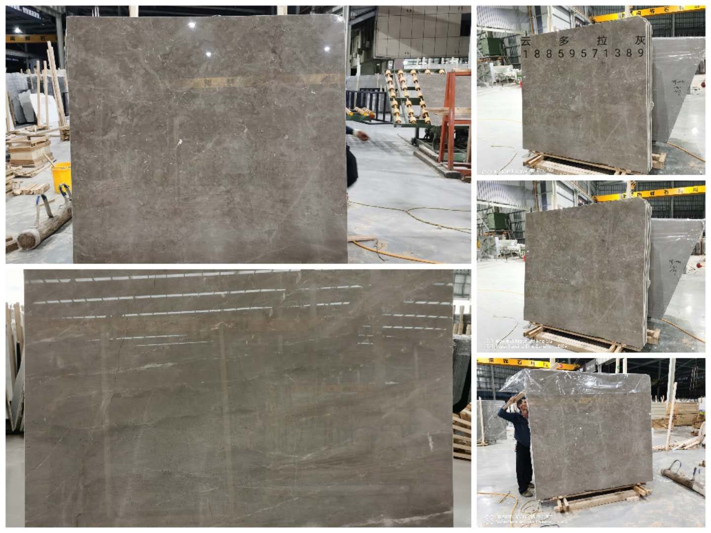 云多拉灰圖片/云多拉灰樣板圖 (4)