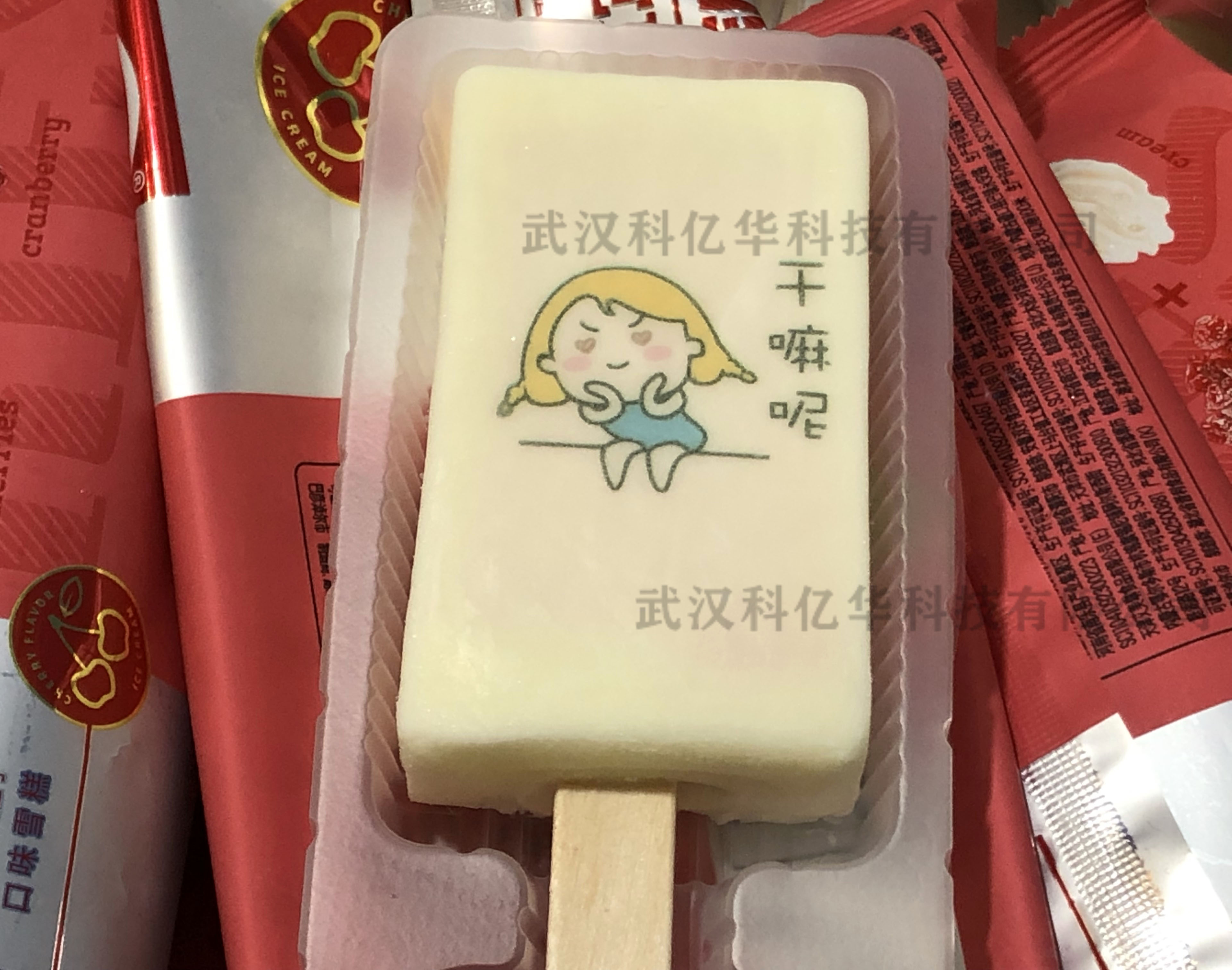 雪糕噴碼機(jī)圖片/雪糕噴碼機(jī)樣板圖 (3)