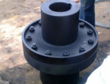 柱銷聯(lián)軸器圖片/柱銷聯(lián)軸器樣板圖 (2)