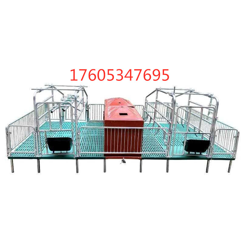 母豬限位欄圖片/母豬限位欄樣板圖 (4)