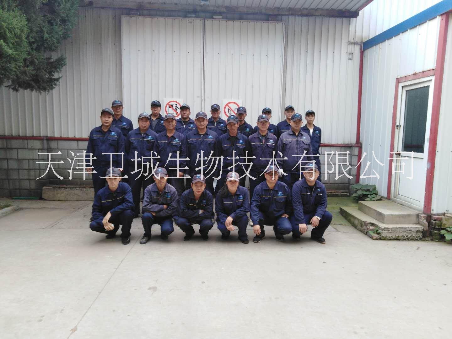 滅臭蟲圖片/滅臭蟲樣板圖 (2)