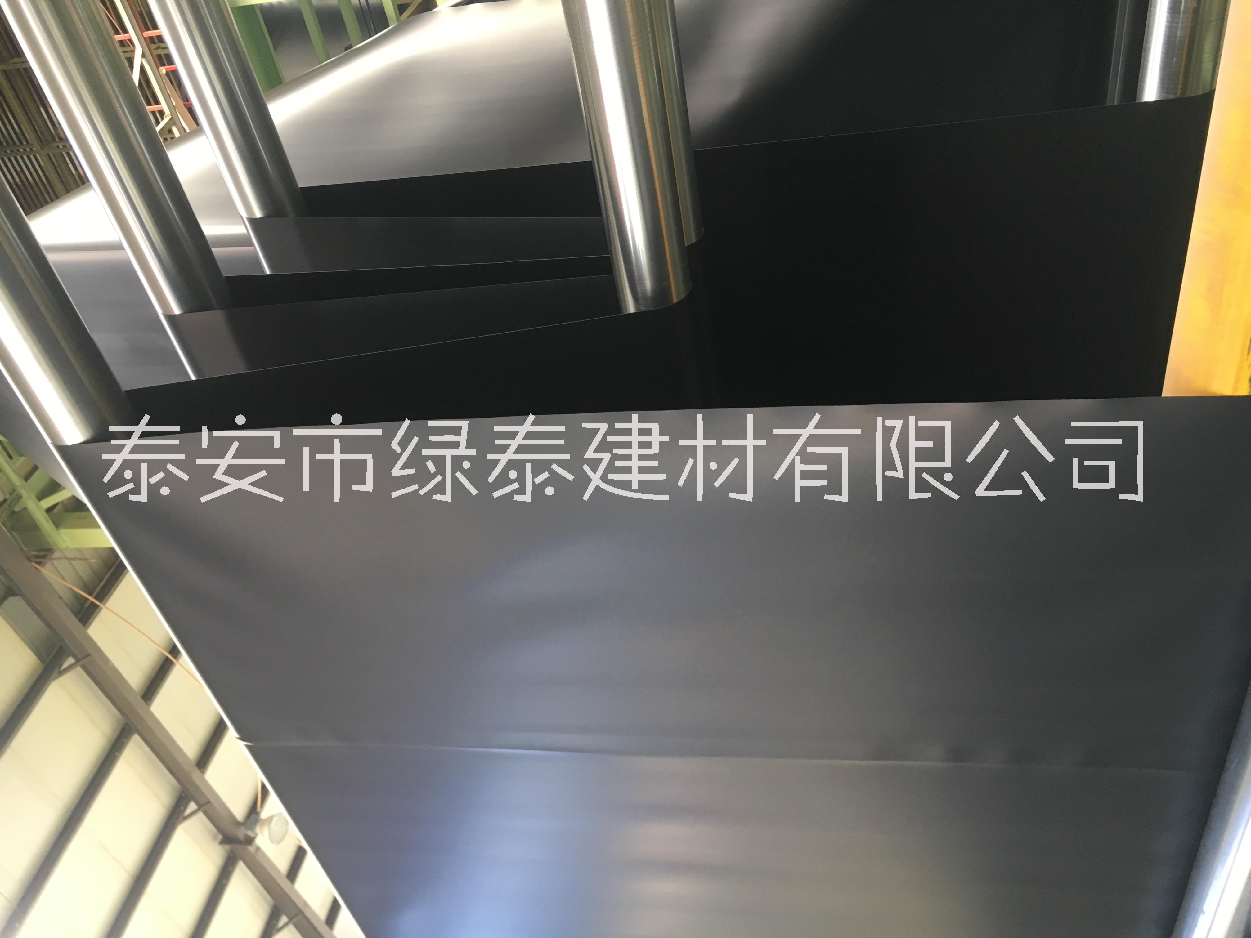 養(yǎng)殖場(chǎng)化糞池鋪的防滲膜圖片/養(yǎng)殖場(chǎng)化糞池鋪的防滲膜樣板圖 (3)