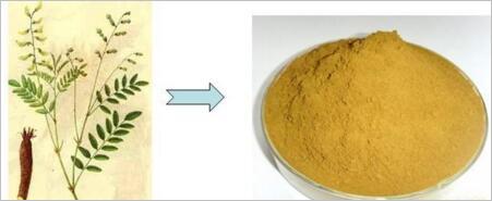 黄芪甲苷图片