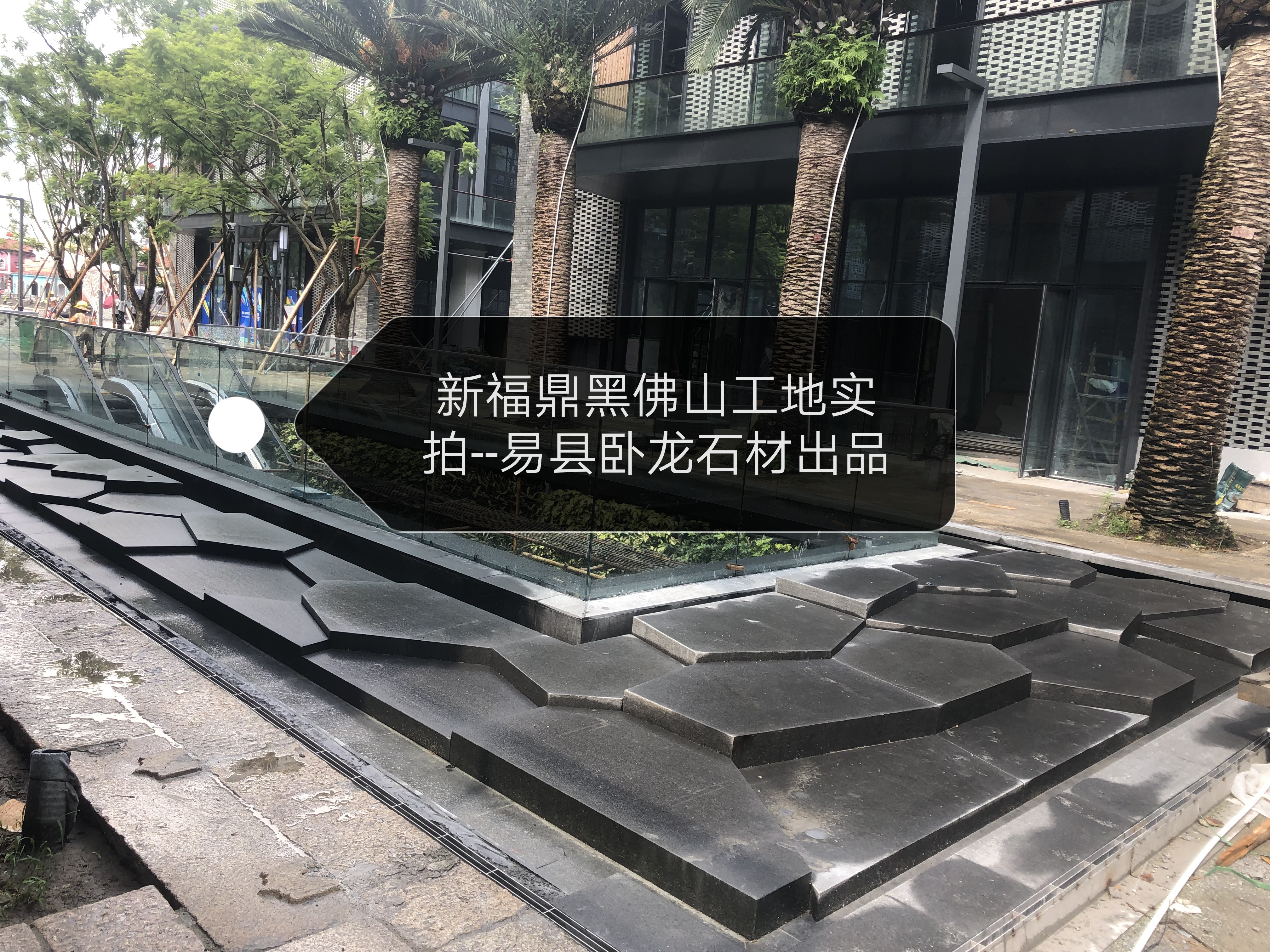 易县黑批发价