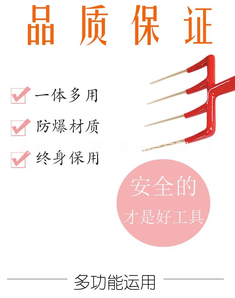 防爆四齒圖片/防爆四齒樣板圖 (3)