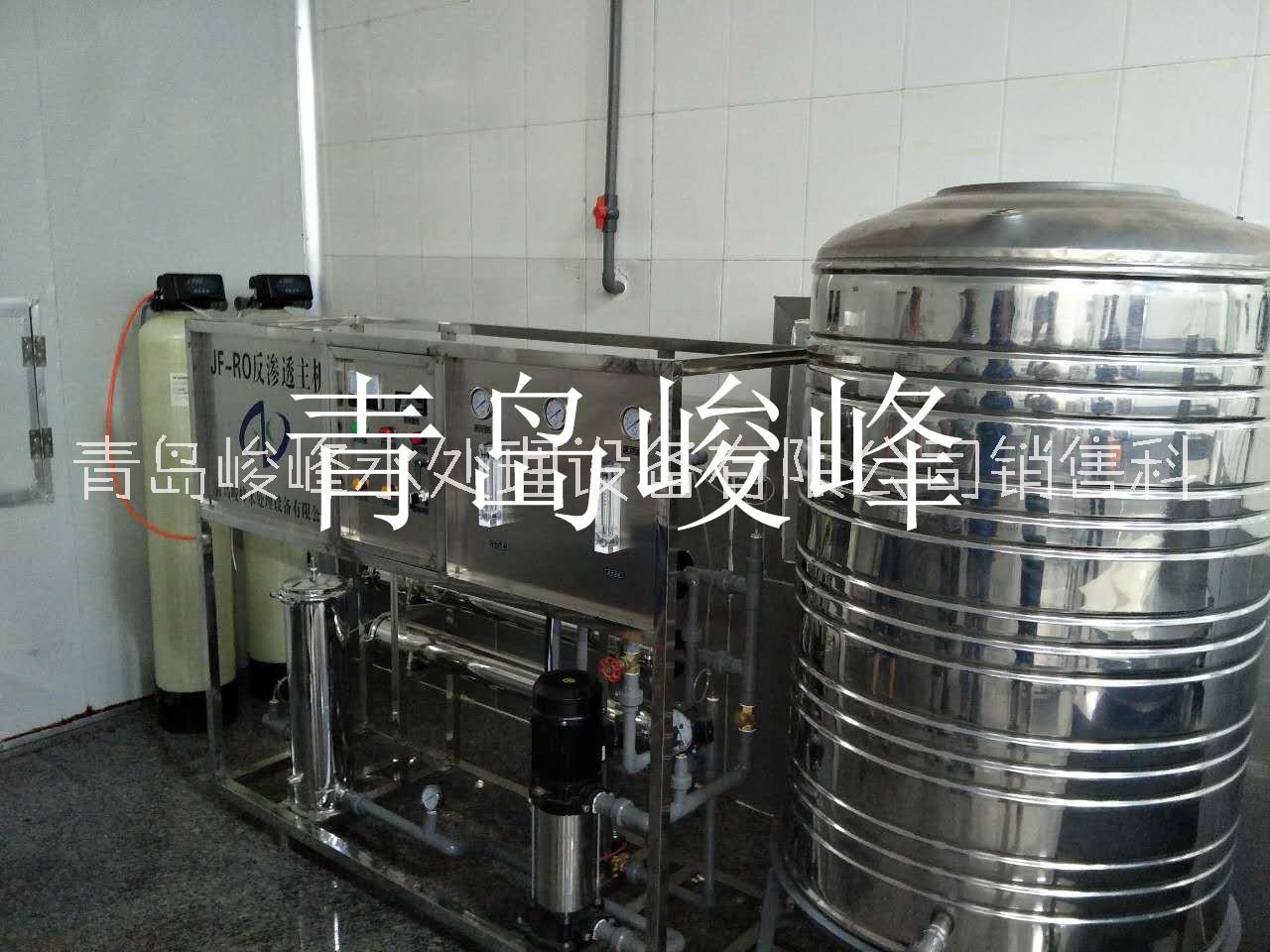 小型净化水设备食品加工纯净水处理设备反渗透设备图片