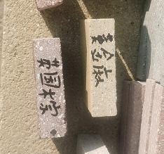 芝麻白圖片/芝麻白樣板圖 (3)