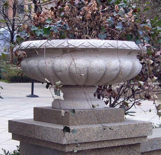 花盆花缽圖片/花盆花缽樣板圖 (1)