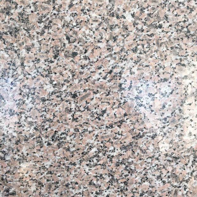 五蓮花批發(fā)圖片/五蓮花批發(fā)樣板圖 (3)