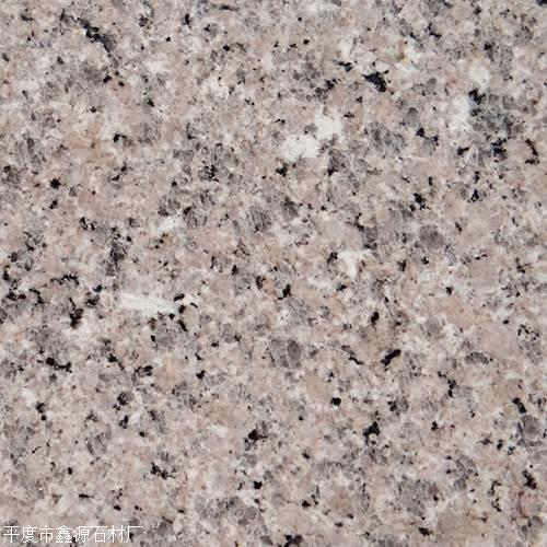 櫻花紅價格圖片/櫻花紅價格樣板圖 (3)