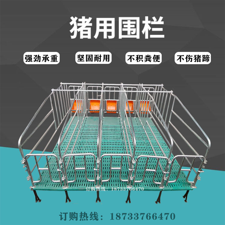 母豬限位欄圖片/母豬限位欄樣板圖 (4)