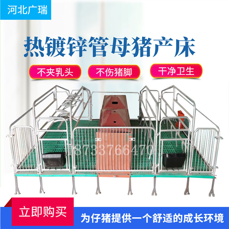 母豬產(chǎn)床圖片/母豬產(chǎn)床樣板圖 (4)