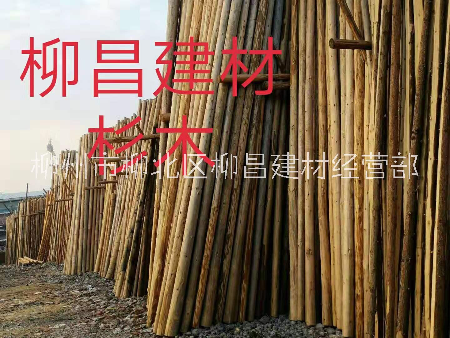 广西柳州杉木林场产地直销销售 杉木直销