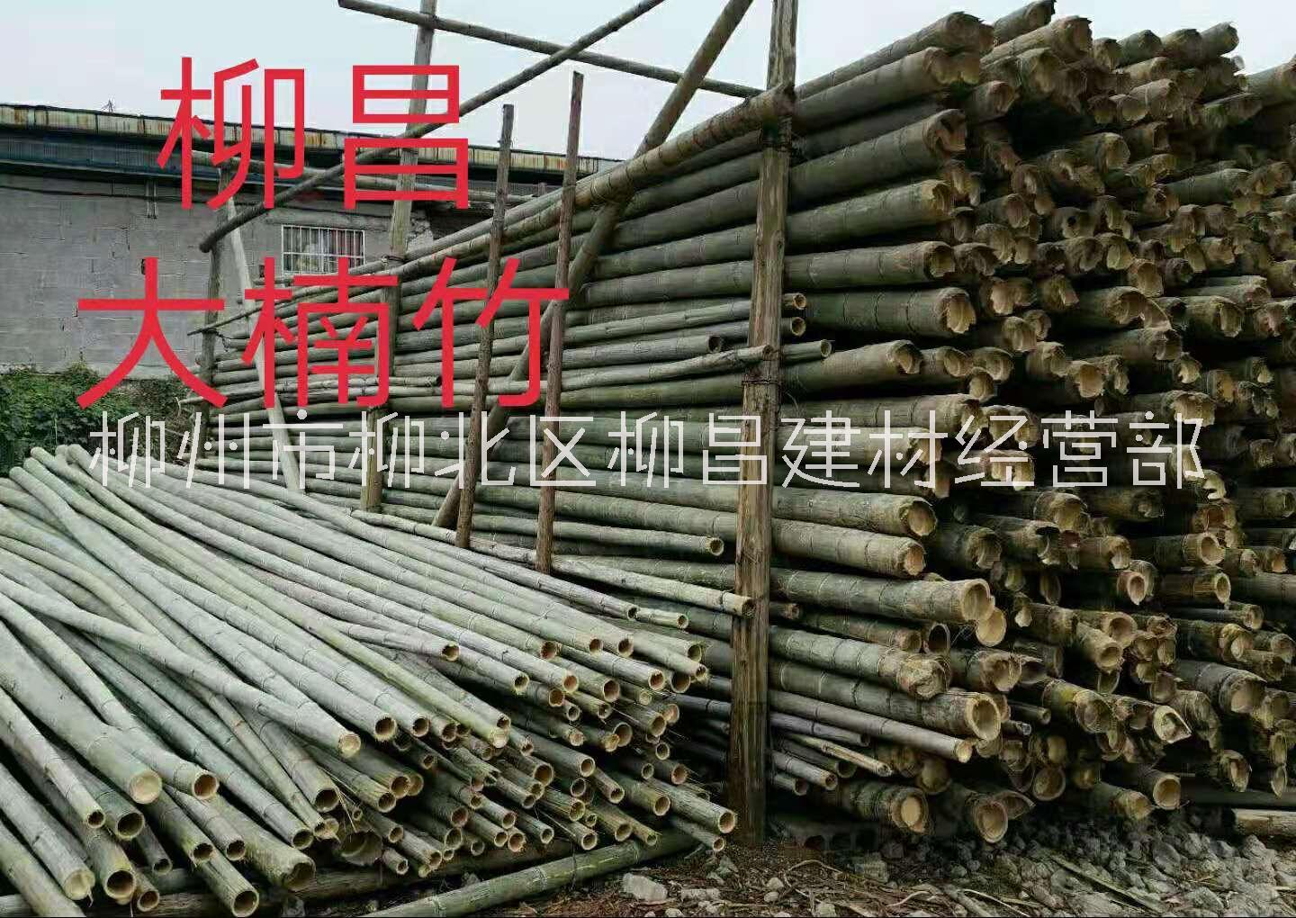 柳州高竹毛竹產(chǎn)地銷售圖片